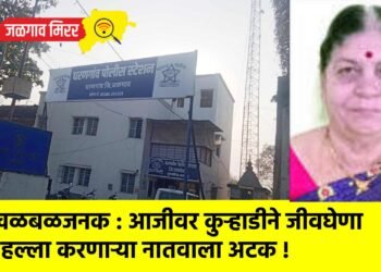 खळबळजनक : आजीवर कुऱ्हाडीने जीवघेणा हल्ला करणाऱ्या नातवाला अटक !