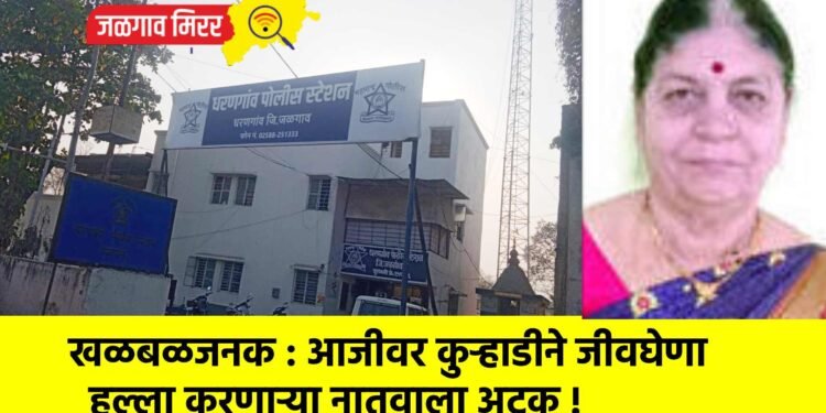 खळबळजनक : आजीवर कुऱ्हाडीने जीवघेणा हल्ला करणाऱ्या नातवाला अटक !