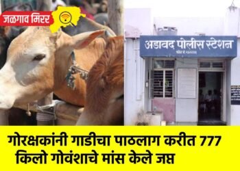 गोरक्षकांनी गाडीचा पाठलाग करीत ७७७ किलो गोवंशाचे मांस केले जप्त