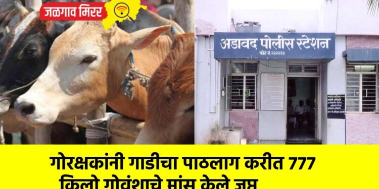 गोरक्षकांनी गाडीचा पाठलाग करीत ७७७ किलो गोवंशाचे मांस केले जप्त