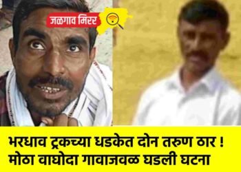 भरधाव ट्रकच्या धडकेत दोन तरुण ठार !