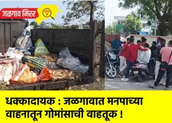 धक्कादायक : जळगावात मनपाच्या वाहनातून गोमांसाची वाहतूक !