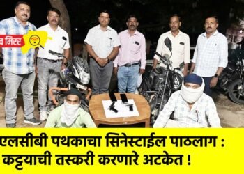 एलसीबी पथकाचा सिनेस्टाईल पाठलाग : कट्टयाची तस्करी करणारे अटकेत !