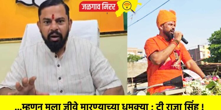 …म्हणून मला जीवे मारण्याच्या धमक्या ; टी राजा सिंह !