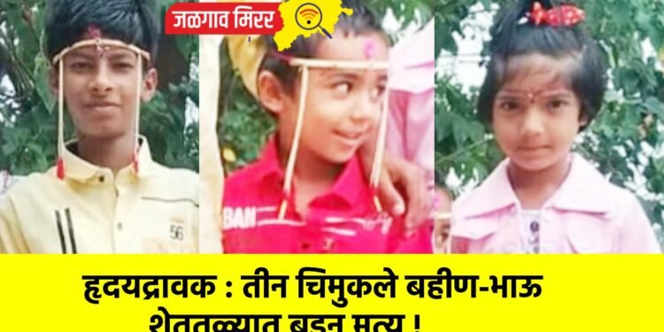 हृदयद्रावक : तीन चिमुकले बहीण-भाऊ शेततळ्यात बुडून मृत्यू !
