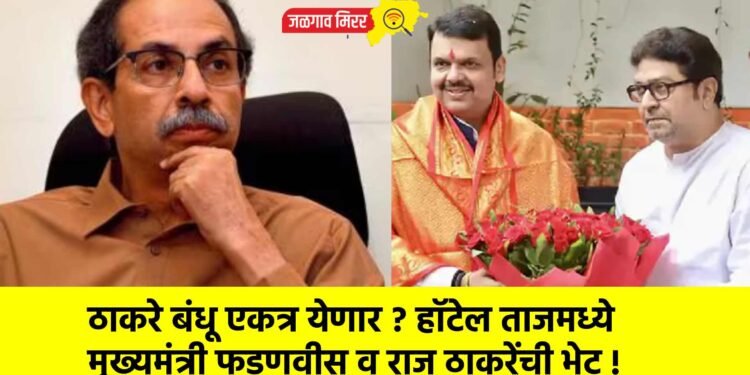 ठाकरे बंधू एकत्र येणार ? हॉटेल ताजमध्ये मुख्यमंत्री फडणवीस व राज ठाकरेंची भेट !
