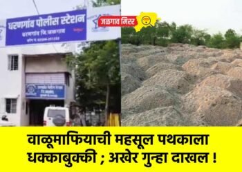 वाळूमाफियाची महसूल पथकाला धक्काबुक्की ; अखेर गुन्हा दाखल !