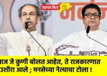 आज जे कुणी बोलत आहेत, ते राजकारणात उशीरा आले ; मनसेच्या नेत्याचा टोला !