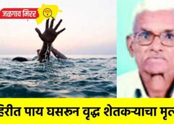 विहिरीत पाय घसरून वृद्ध शेतकऱ्याचा मृत्यू !