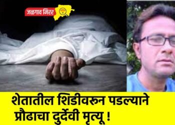 शेतातील शिडीवरून पडल्याने प्रौढाचा दुर्देवी मृत्यू !