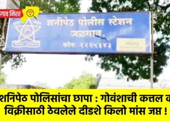 शनिपेठ पोलिसांचा छापा : गोवंशाची कत्तल करुन विक्रीसाठी ठेवलेले दीडशे किलो मांस जप्त !