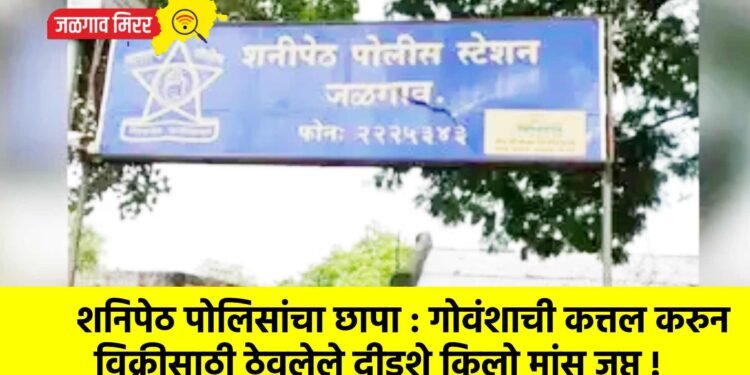 शनिपेठ पोलिसांचा छापा : गोवंशाची कत्तल करुन विक्रीसाठी ठेवलेले दीडशे किलो मांस जप्त !