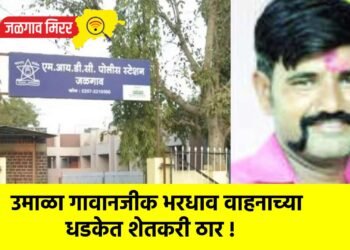 उमाळा गावानजीक भरधाव वाहनाच्या धडकेत शेतकरी ठार !