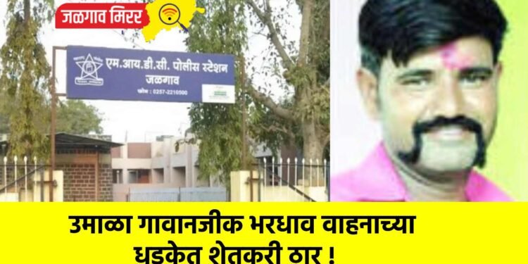 उमाळा गावानजीक भरधाव वाहनाच्या धडकेत शेतकरी ठार !