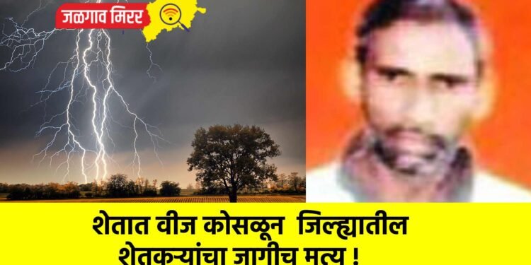 शेतात वीज कोसळून  जिल्ह्यातील शेतकऱ्यांचा जागीच मृत्यू !