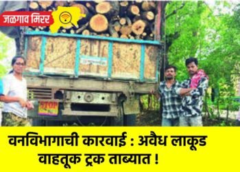 वनविभागाची कारवाई : अवैध लाकूड वाहतूक ट्रक ताब्यात !