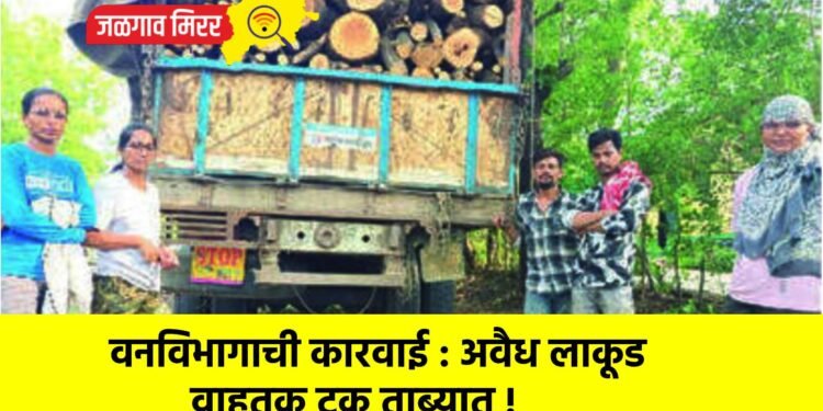 वनविभागाची कारवाई : अवैध लाकूड वाहतूक ट्रक ताब्यात !