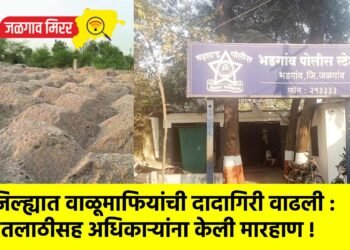 जिल्ह्यात वाळूमाफियांची दादागिरी वाढली : तलाठीसह अधिकाऱ्यांना केली मारहाण !