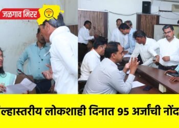 जिल्हास्तरीय लोकशाही दिनात ९५ अर्जांची नोंद