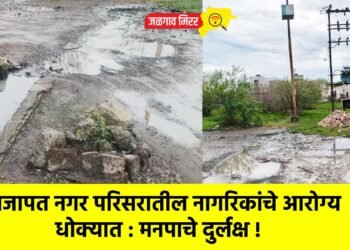 प्रजापत नगर परिसरातील नागरिकांचे आरोग्य धोक्यात : मनपाचे दुर्लक्ष !