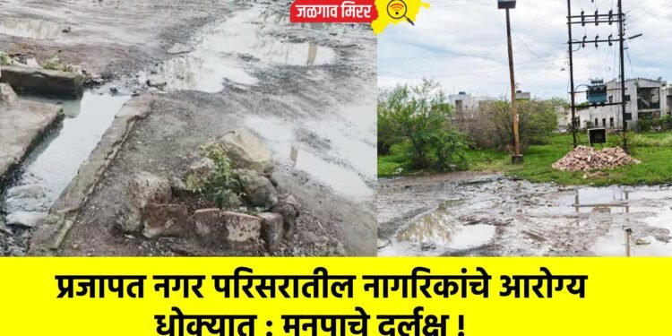 प्रजापत नगर परिसरातील नागरिकांचे आरोग्य धोक्यात : मनपाचे दुर्लक्ष !