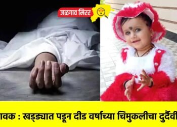 हृदयद्रावक : खड्ड्यात पडून दीड वर्षाच्या चिमुकलीचा दुर्दैवी मृत्यू !
