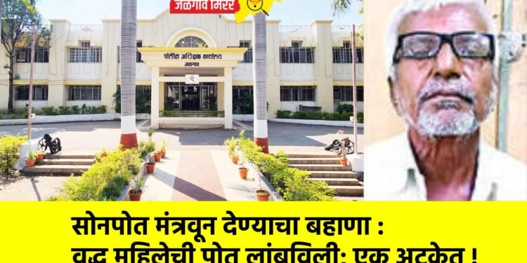 सोनपोत मंत्रवून देण्याचा बहाणा : वृद्ध महिलेची पोत लांबविली; एक अटकेत !