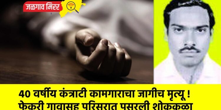 ४० वर्षीय कंत्राटी कामगाराचा जागीच मृत्यू !