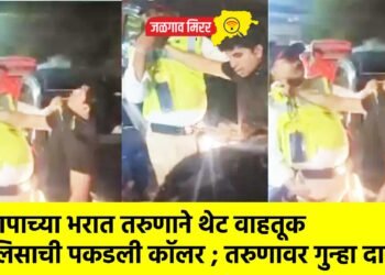 संतापाच्या भरात तरुणाने थेट वाहतूक पोलिसाची पकडली कॉलर !