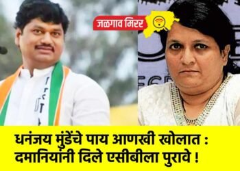 धनंजय मुंडेंचे पाय आणखी खोलात : दमानियांनी दिले एसीबीला पुरावे !  