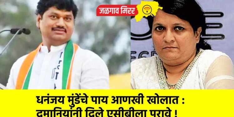 धनंजय मुंडेंचे पाय आणखी खोलात : दमानियांनी दिले एसीबीला पुरावे !  