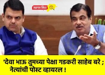 ‘देवा भाऊ तुमच्या पेक्षा गडकरी साहेब बरे ; नेत्यांची पोस्ट व्हायरल !