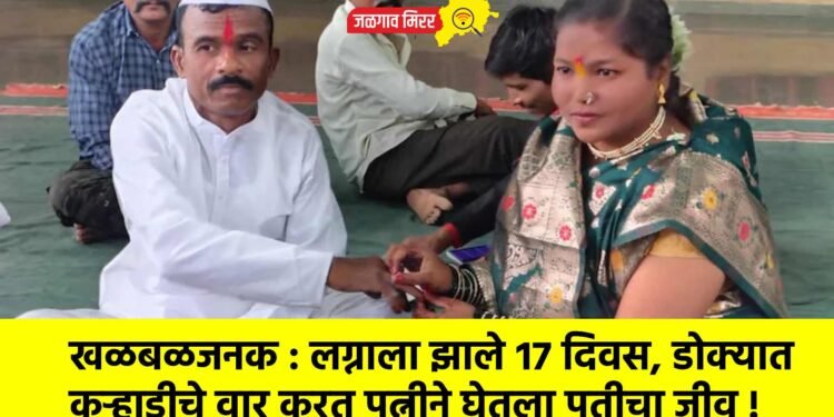 खळबळजनक : लग्नाला झाले १७ दिवस, डोक्यात कुऱ्हाडीचे वार करत पत्नीने घेतला पतीचा जीव !