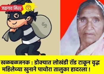 खळबळजनक : डोक्यात लोखंडी रॉड टाकून वृद्ध महिलेच्या खुनाने पाचोरा तालुका हादरला !