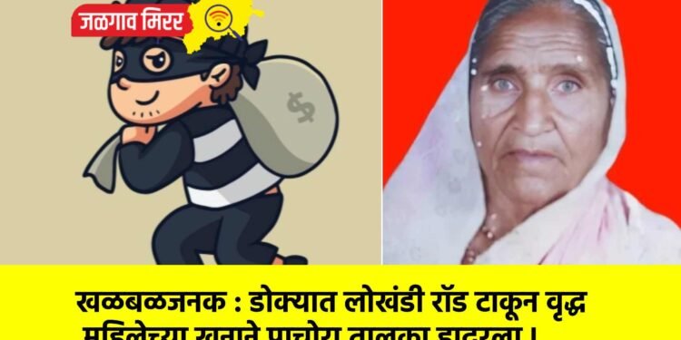 खळबळजनक : डोक्यात लोखंडी रॉड टाकून वृद्ध महिलेच्या खुनाने पाचोरा तालुका हादरला !