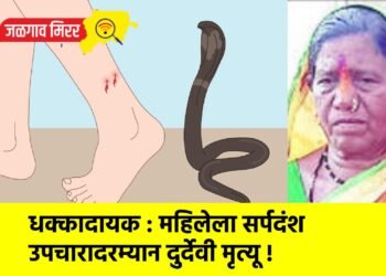 धक्कादायक : महिलेला सर्पदंश उपचारादरम्यान दुर्देवी मृत्यू !
