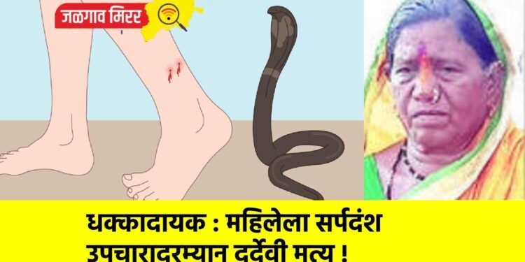 धक्कादायक : महिलेला सर्पदंश उपचारादरम्यान दुर्देवी मृत्यू !