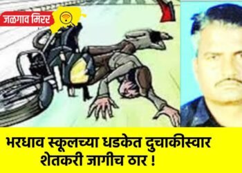 भरधाव स्कूलच्या धडकेत दुचाकीस्वार शेतकरी जागीच ठार !