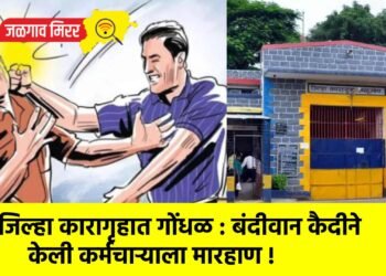 जिल्हा कारागृहात गोंधळ : बंदीवान कैदीने केली कर्मचाऱ्याला मारहाण !