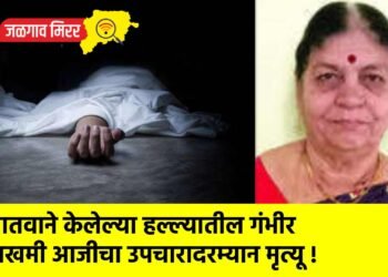 नातवाने केलेल्या हल्ल्यातील गंभीर जखमी आजीचा उपचारादरम्यान मृत्यू !