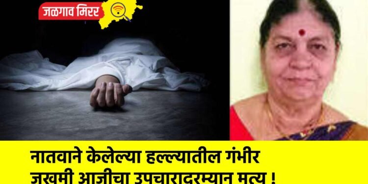 नातवाने केलेल्या हल्ल्यातील गंभीर जखमी आजीचा उपचारादरम्यान मृत्यू !