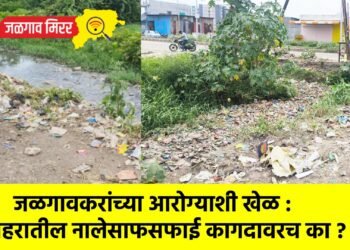 जळगावकरांच्या आरोग्याशी खेळ : शहरातील नालेसाफसफाई कागदावरच का ?