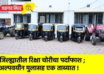 जिल्ह्यातील रिक्षा चोरीचा पर्दाफाश ; अल्पवयीन मुलासह एक ताब्यात !