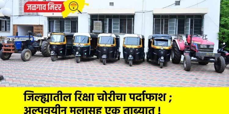 जिल्ह्यातील रिक्षा चोरीचा पर्दाफाश ; अल्पवयीन मुलासह एक ताब्यात !