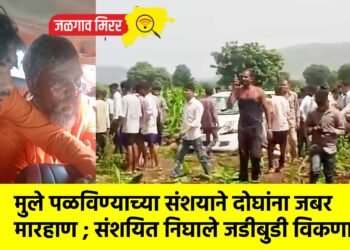 मुले पळविण्याच्या संशयाने दोघांना जबर मारहाण ; संशयित निघाले जडीबुडी विकणारे !