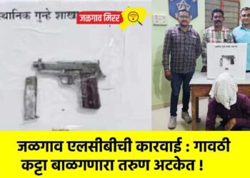 जळगाव एलसीबीची कारवाई : गावठी कट्टा बाळगणारा तरुण अटकेत !