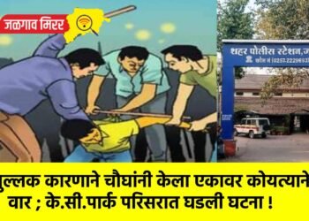 शुल्लक कारणाने चौघांनी केला एकावर कोयत्याने वार ; के.सी.पार्क परिसरात घडली घटना !