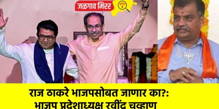 राज ठाकरे भाजपसोबत जाणार का?: भाजप प्रदेशाध्यक्ष रवींद्र चव्हाण