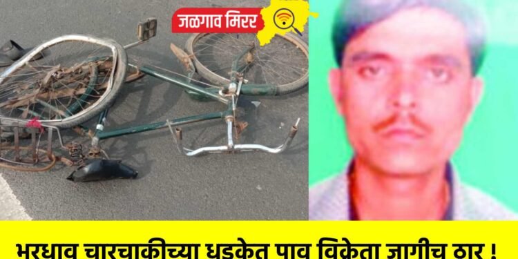 भरधाव चारचाकीच्या धडकेत पाव विक्रेता जागीच ठार !