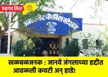 खळबळजनक : जानवे जंगलाच्या हद्दीत आढळली कवटी अन् हाडे!